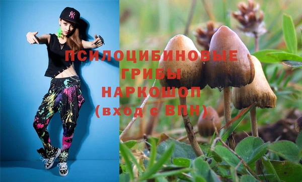 мдпв Пестово