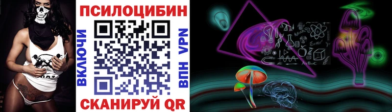 купить наркоту  Нюрба  Псилоцибиновые грибы Cubensis 